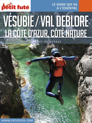 cover image of VÉSUBIE 2017 Carnet Petit Futé